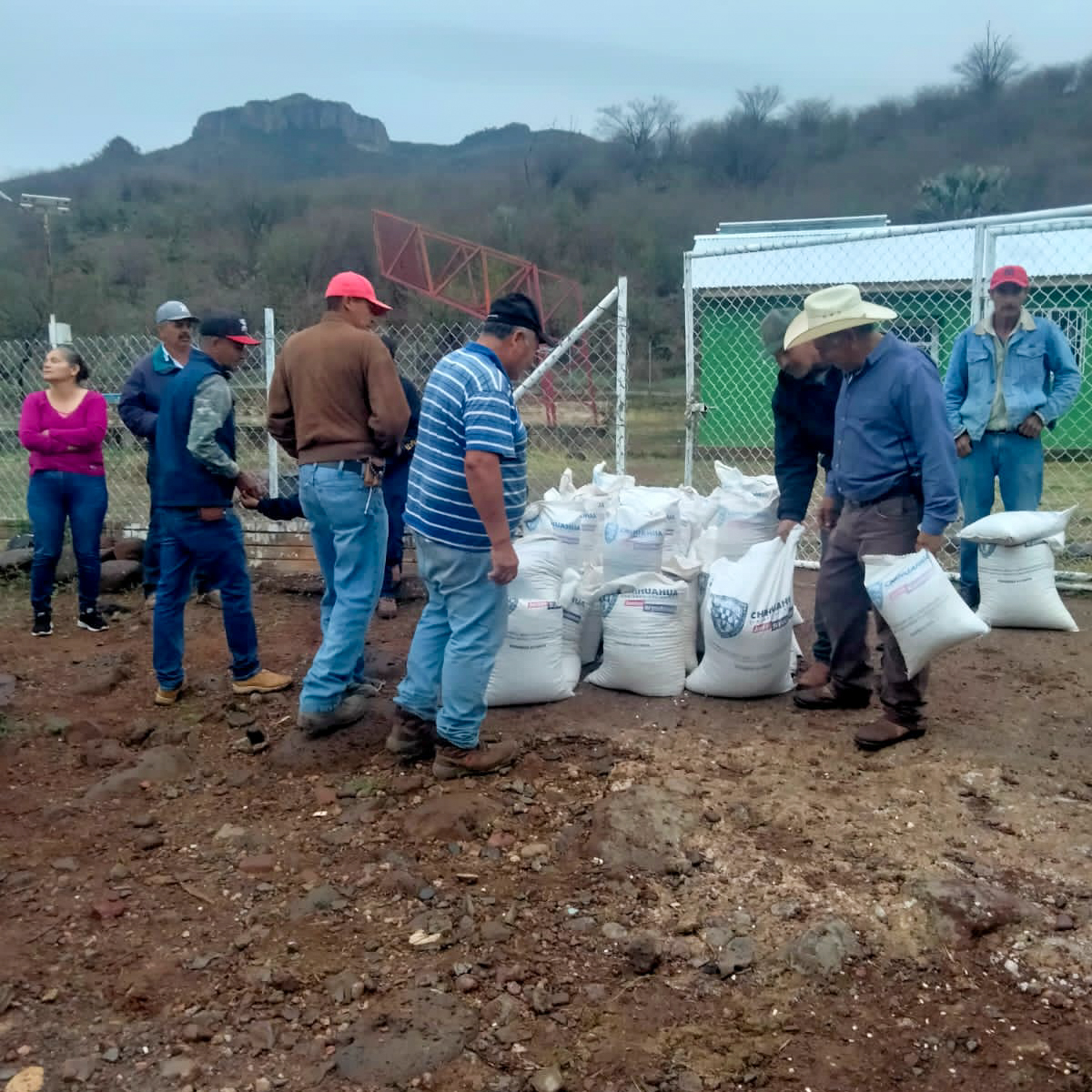 Distribuye Gobierno Del Estado Apoyos Alimenticios Para 180 Familias De ...